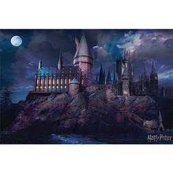 Harry Potter Hogwarts Plakat 91x61cm