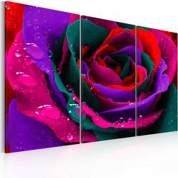 Arkiio Rainbow-färgade rose 60x40 Tavla