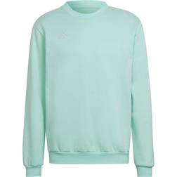 Adidas Entrada 22 Sweatshirt - Clear Mint (HC5042)