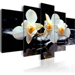 Arkiio Orchids with Orange accent 200x100 Tavla 200x100cm