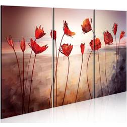 Arkiio Bright red poppies 60x40 Tavla