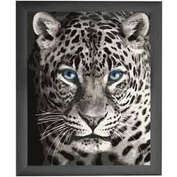 Paint By Numbers Leopard