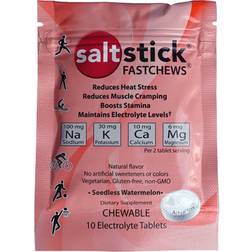 SaltStick Fastchews 12 Pack