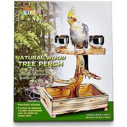 Penn Plax BIRD TREE PERCH medium-to-large sized birds