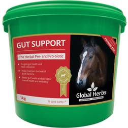 Global Herbs Gut Support 500g