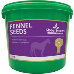 Global Herbs Fennel 1kg