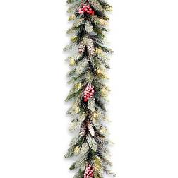 National Tree Company Dunhill Fir Pre Lit Garland with Clear Lights Decoration