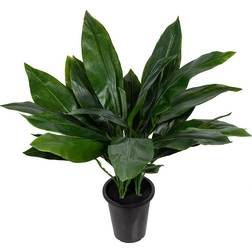 Mr Plant Aspidistra Art plante 75 cm Grøn