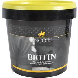 Lincoln Biotin 600g