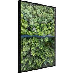 Artgeist Forest from a Bird's Eye View Sort 20x30 Plakat