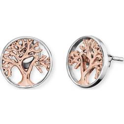 Engelsrufer Angel Whisperer Two Tone Tree Of Life Stud Earrings ERE-LILTREE-BICOR