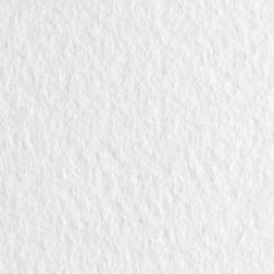 Fabriano Fab Tiziano 160 g 50x65 Bianco