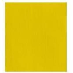 Prof Acrylic 60ml Cadmium Yellow Light 113