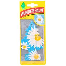 Wunder-Baum Daisy Flower