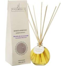 Aromatic bouquet Lavender
