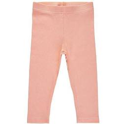 Soft Gallery Issey Leggings Solid Rib - Tropical Peach (SG1468)