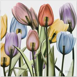 Empire Art Direct Tulip X-Ray Glass Wall Decor 24x24"