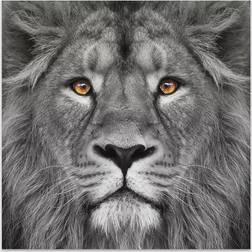 Empire Art Direct King of The Jungle Lion Frameless Free Floating Tempered Glass Panel Graphic Wall Art Wall Decor 38x38"