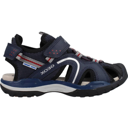 Geox Boy Borealis - Dark Grey/Navy