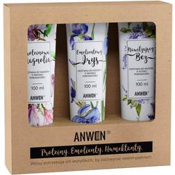 Anwen Set of 3 Medium Porosity Conditioners 100 ml