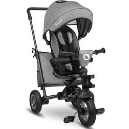 Lionelo Haari 2 in 1 Triciclo bici e passeggino fino a 25kg, Pieghevole, Fronte mamma e fronte strada, Regorabile compatto con Borsa e portabibite, Cinture a 3punti Triciclo per bambini da 1 a 5 anni