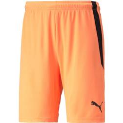Puma TeamLIGA Shorts - Bleu