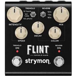 Strymon Flint V2