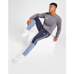 adidas Jogginganzug Molton Mischgewebe Essentials - Bleu