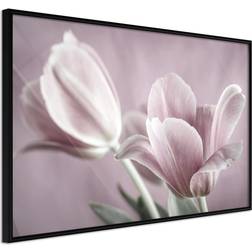 Artgeist med ramme Pastel Tulips I Sort 30x20 Plakat