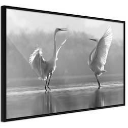 Artgeist med ramme Black and White Herons Sort 30x20 Plakat