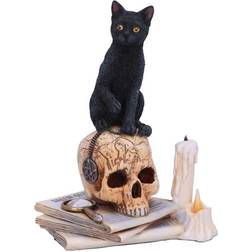 Nemesis Now Spirits Of Salem Set multicolor Figurine