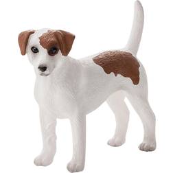 Mojo Jack Russell Terrier Pet Dog Animal Farm