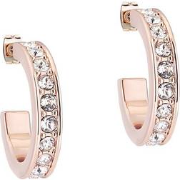 Ted Baker Seanna Small Hoop Earrings - Rose Gold/Transparent