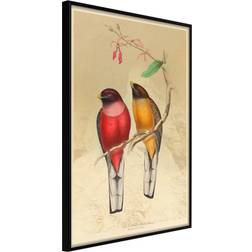 Artgeist med ramme Ornithologist's Drawings Sort 20x30 Plakat