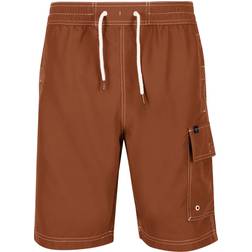 Regatta Hotham IV badshorts för män