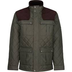 Regatta Mens Padbury Quilted Jacket (Black)