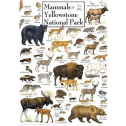 Masterpieces Mammals of Yellowstone National Park 1000 Pieces