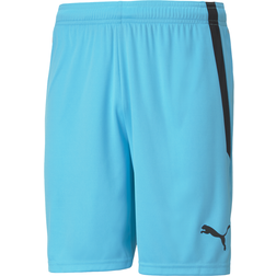 Puma TeamLIGA Shorts - Blue/Black