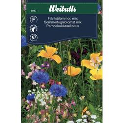 Weibulls Fjärilsblommor Mix Blomsterfrø