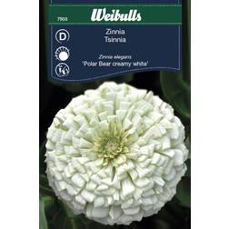 Weibulls Zinnia Blomsterfrø