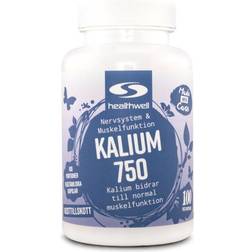 Healthwell Kalium 750 90 stk