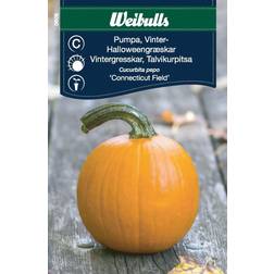 Weibulls Pumpa Halloween Grøntsagsfrø