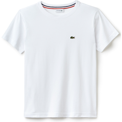 Lacoste Kid's Crew Neck Cotton Jersey T-shirt - White (TJ1442-00)