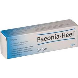 Paeonia-Heel 50g Salve