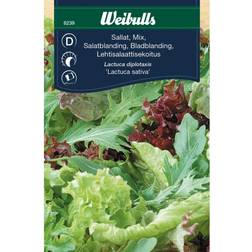 Weibulls Sallat Baby Leaf Mix Grøntsagsfrø