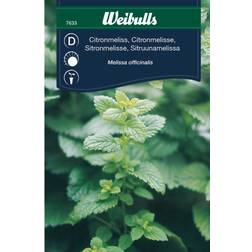 Weibulls Citronmeliss Krydderurtefrø