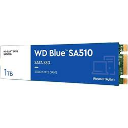 Western Digital Blue WDS100T3B0B 1TB