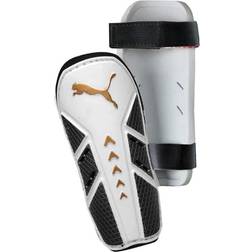 Puma Pro Training 2