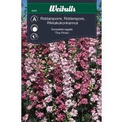 Weibulls Riddarsporre The Pinks Blomsterfrø