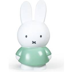 Atelier Pierre Miffy Money Box